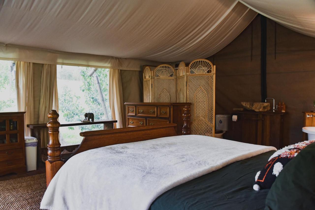 Silk Pavilions Glamping Mount Burrell Luaran gambar