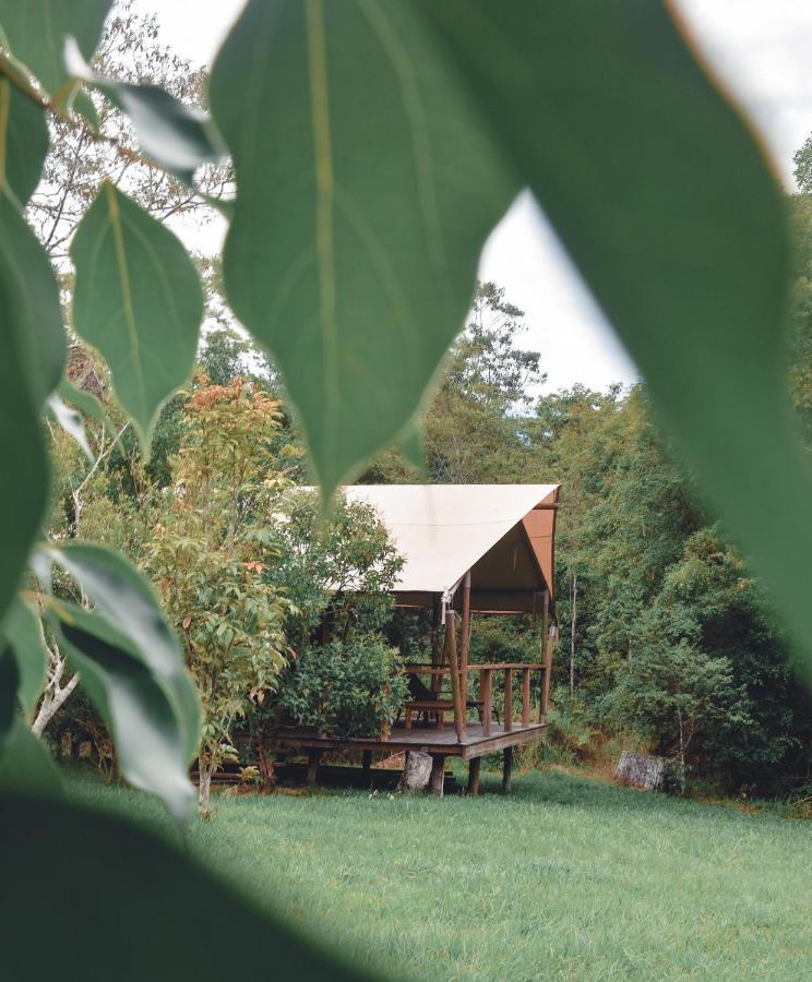 Silk Pavilions Glamping Mount Burrell Luaran gambar